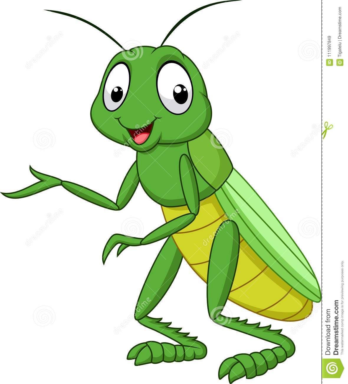 Cartoon isolated on white. Grasshopper clipart cricket