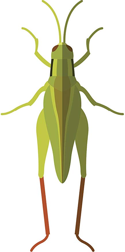 grasshopper clipart emoji