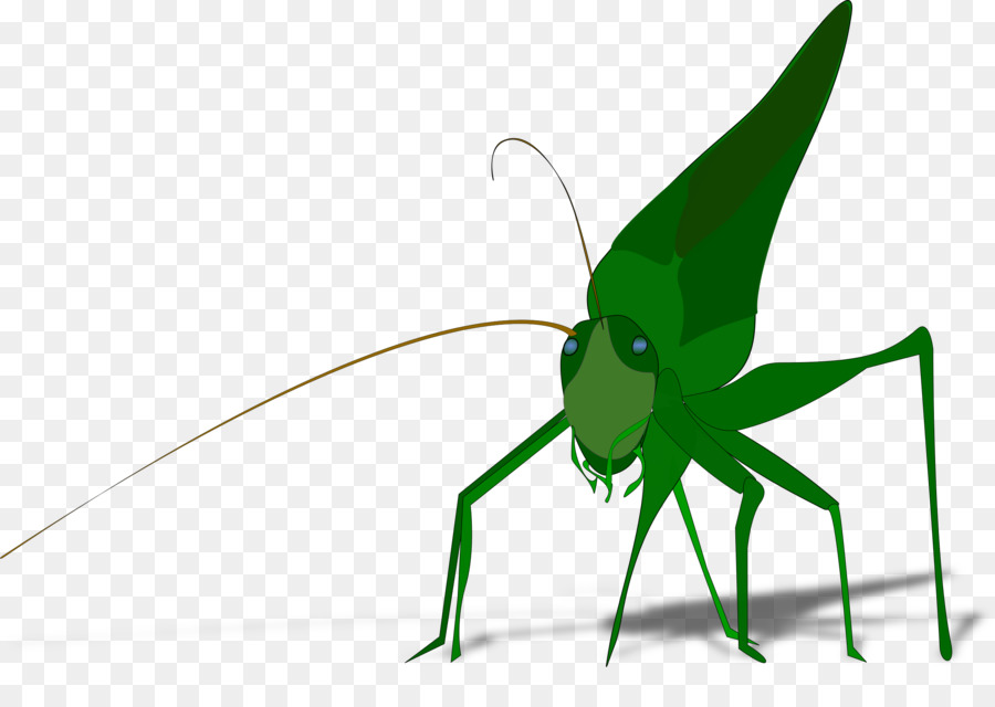 Leaf fly line graphics. Grasshopper clipart flying
