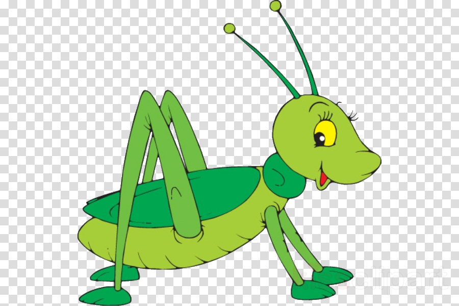 grasshopper clipart green clipart