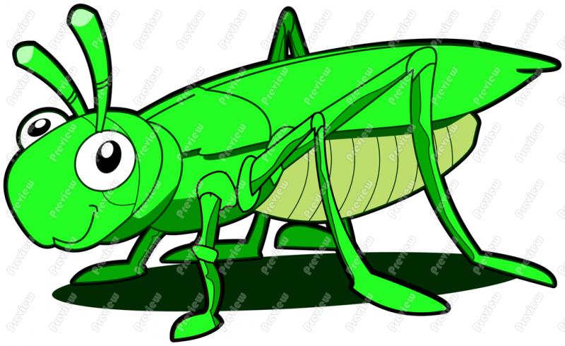 grasshopper clipart green clipart