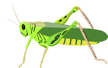 grasshopper clipart group