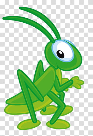 Small insects transparent background. Grasshopper clipart group