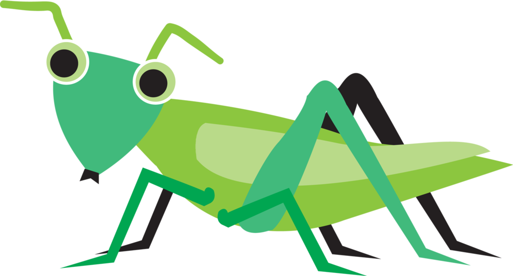Grasshopper information