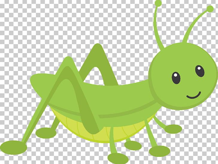 The ant and insect. Grasshopper clipart invertebrate
