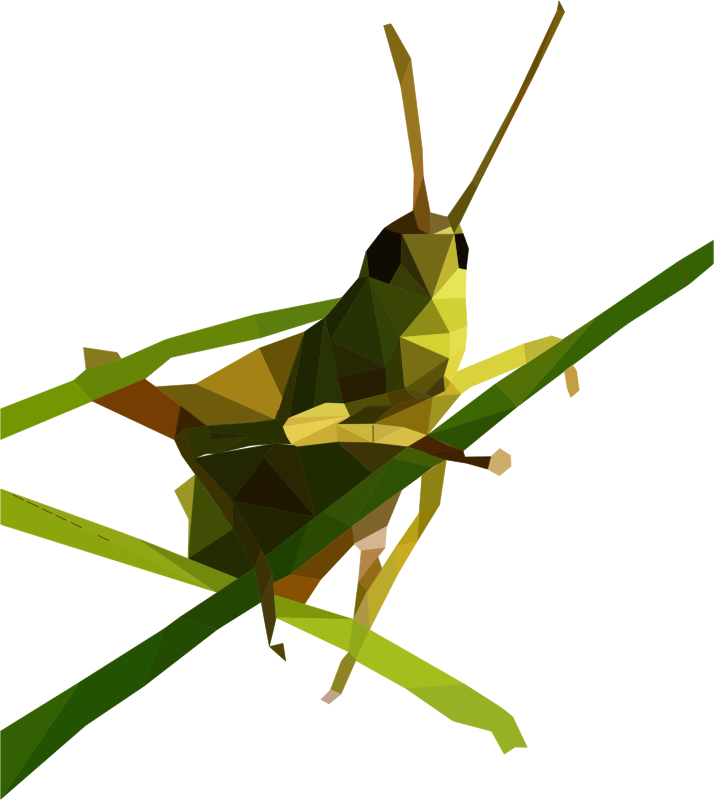 Grasshopper clipart invertebrate. Low poly medium image