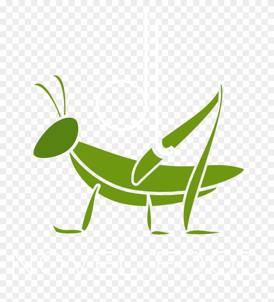 grasshopper clipart jumping