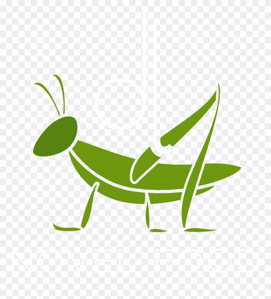 Cricket png download . Grasshopper clipart jumping