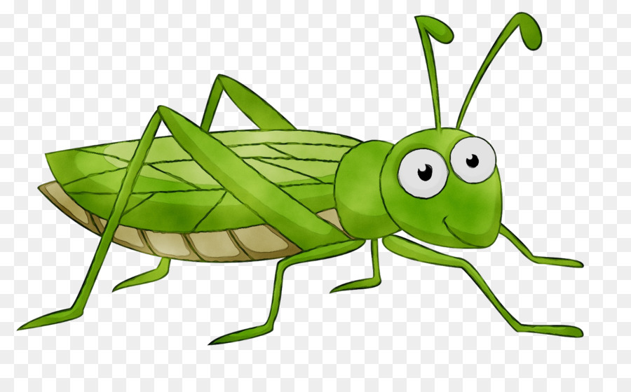 Grasshopper clipart leaf. Green background 