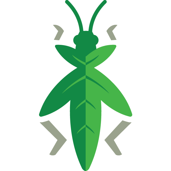 grasshopper clipart leaf