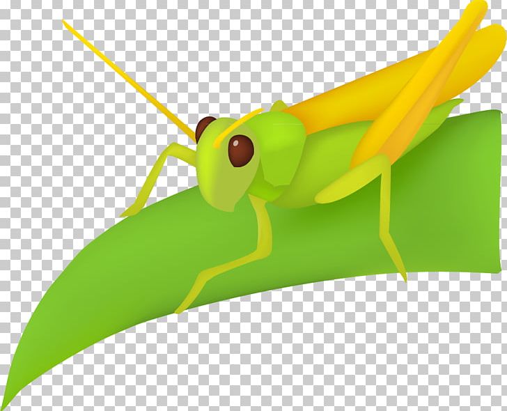 Grasshopper clipart leaf. Png cartoon character 