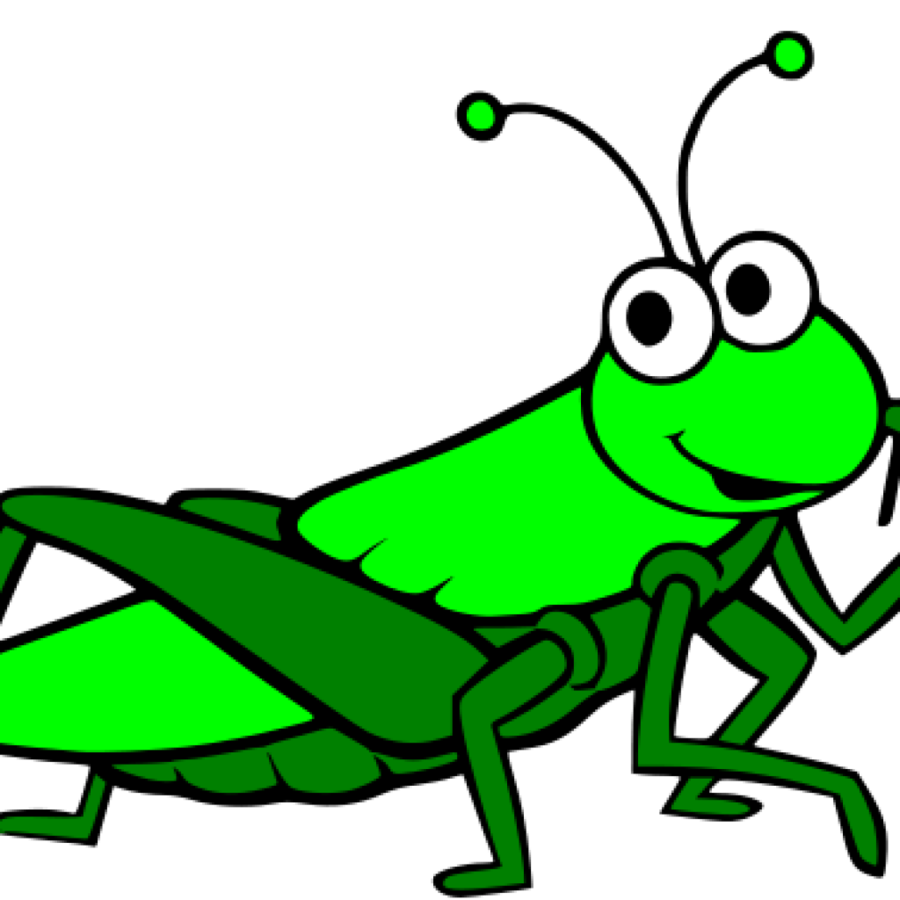 Green grass background illustration. Grasshopper clipart leaf