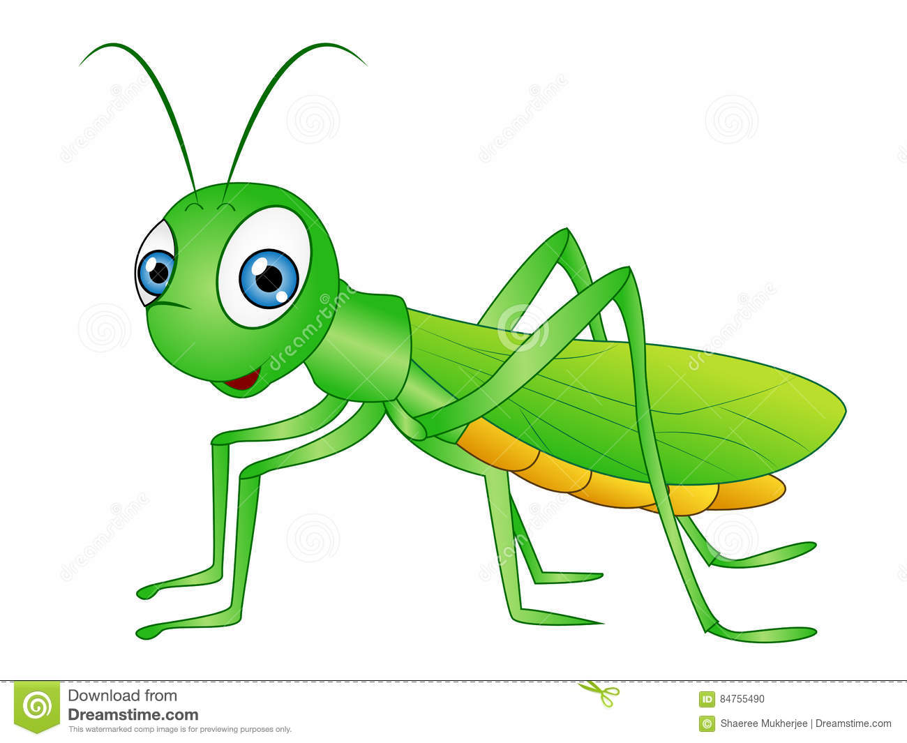 grasshopper clipart little