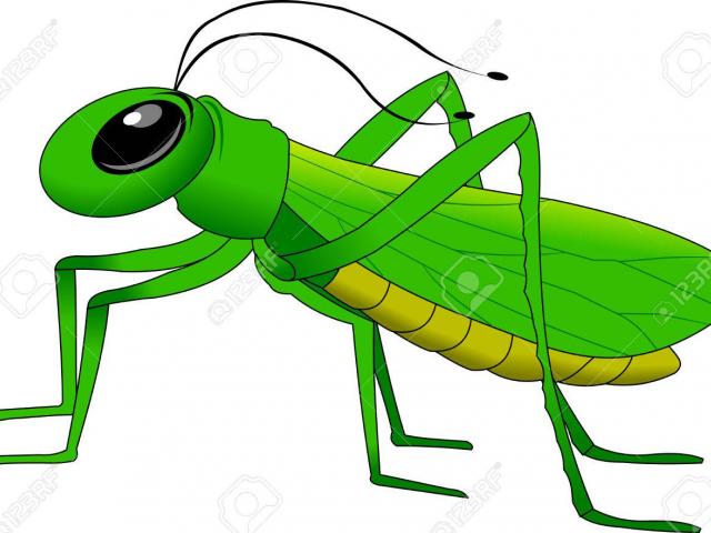 Grasshopper clipart logo. Free download clip art