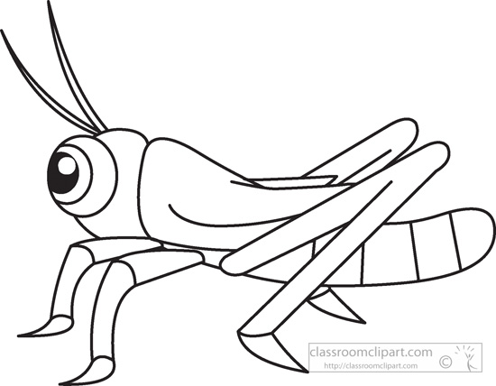 insects clipart outline