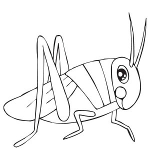 grasshopper clipart pencil