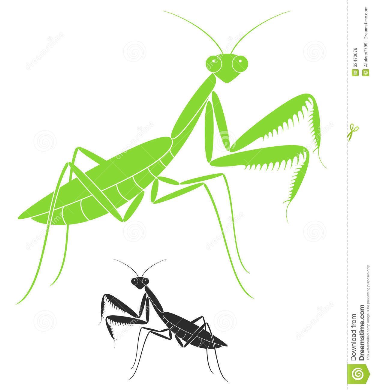 Google search images . Grasshopper clipart praying mantis