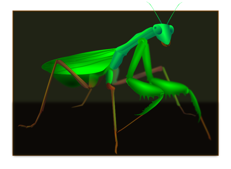 grasshopper clipart praying mantis