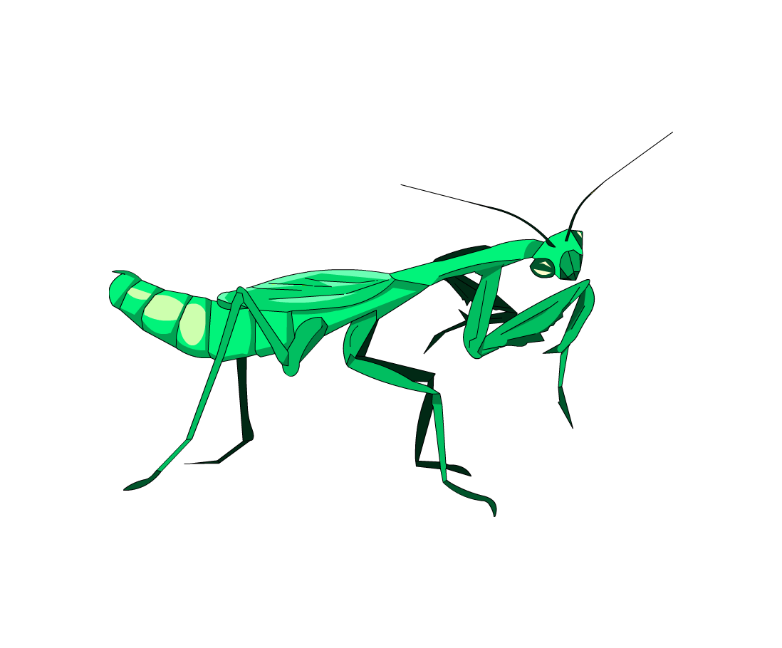 Grasshopper clipart praying mantis, Grasshopper praying mantis ...