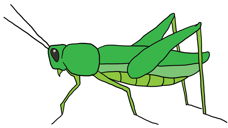 grasshopper clipart project
