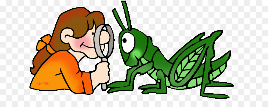 Cartoon grass png download. Grasshopper clipart science observation