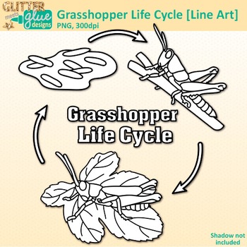Grasshopper clipart scientific. Life cycle clip art