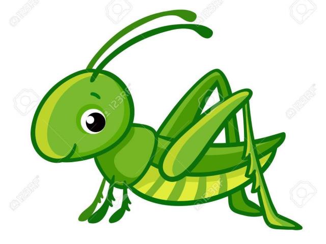 grasshopper clipart scientific