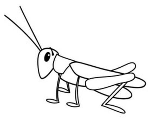 grasshopper clipart sheet