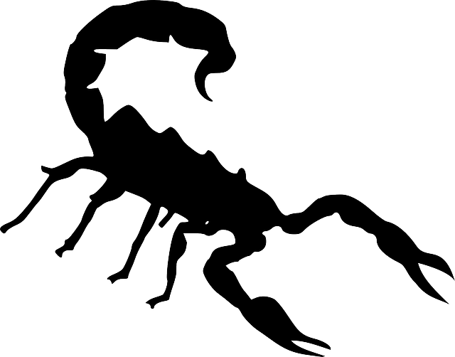 insect clipart silhouette