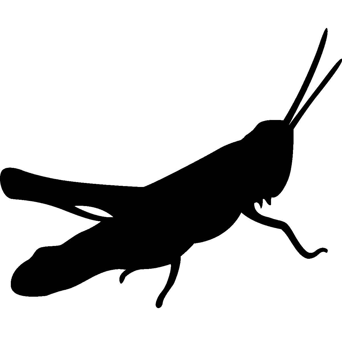 grasshopper clipart silhouette