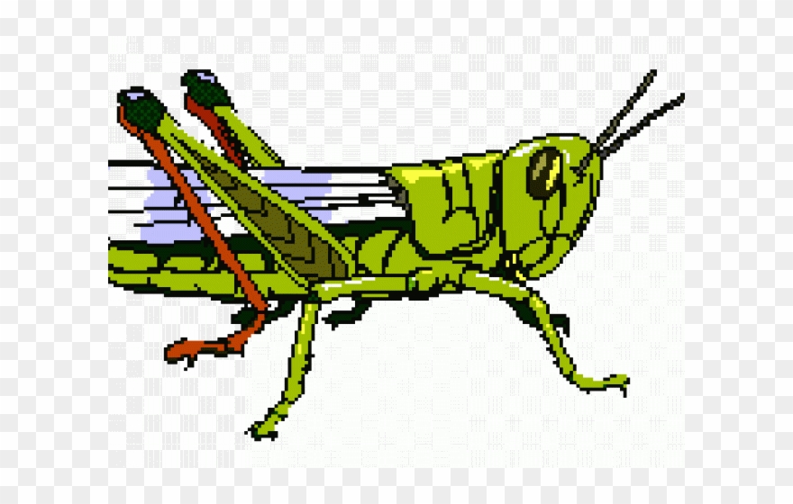 grasshopper clipart wing grasshopper