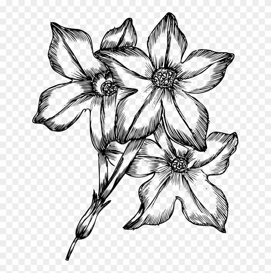 Hand drawn flowers png. Gravestone clipart flower drawing