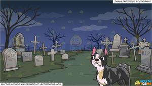 Graveyard clipart cute. A boston terrier and