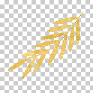 greek clipart gold vine