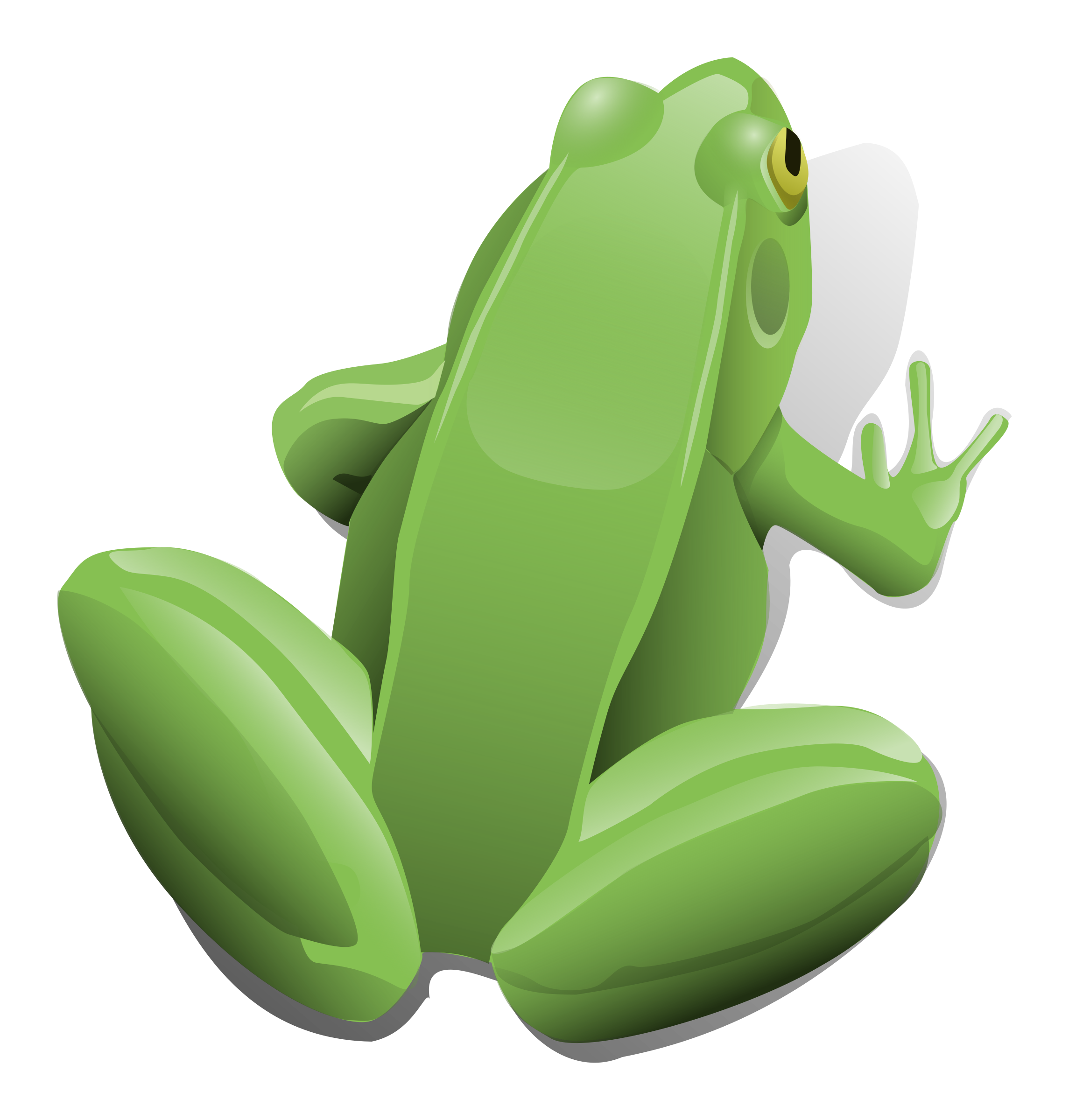 Green clipart amphibian. Sitting frog big image
