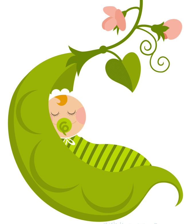 Twins clipart pea. Baby pod png transparent