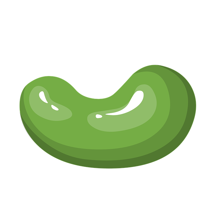 green clipart bean