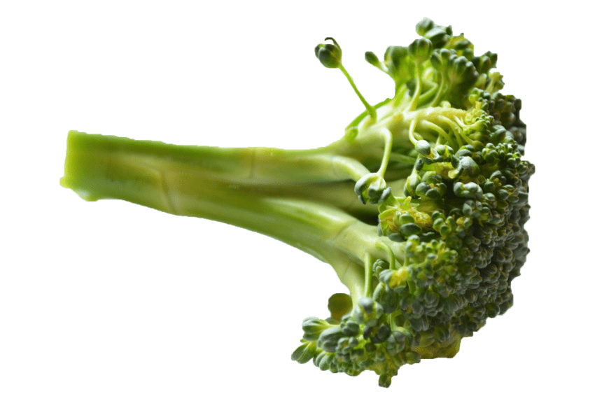 green clipart brocolli