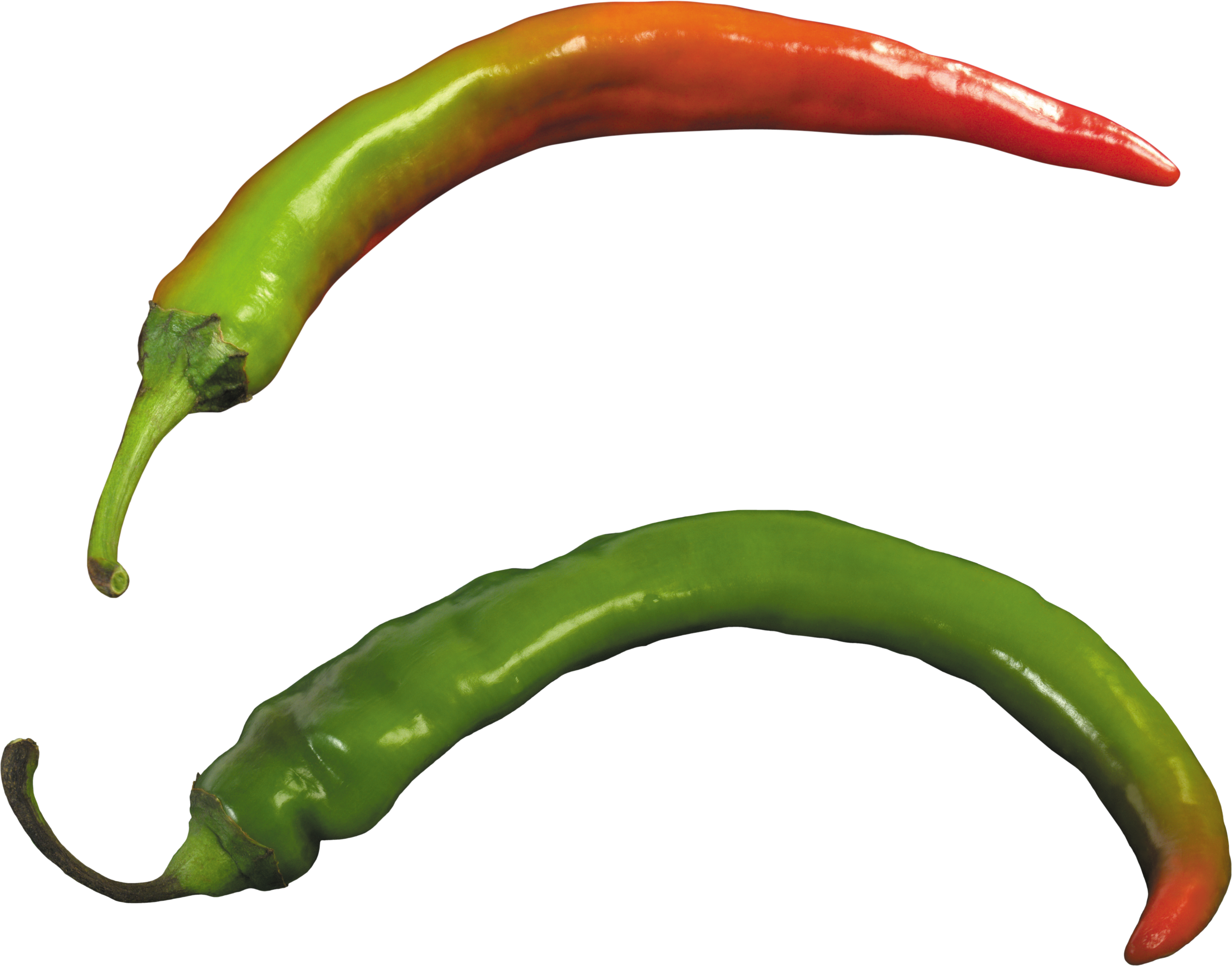 Green clipart chilli pepper. Png image free download