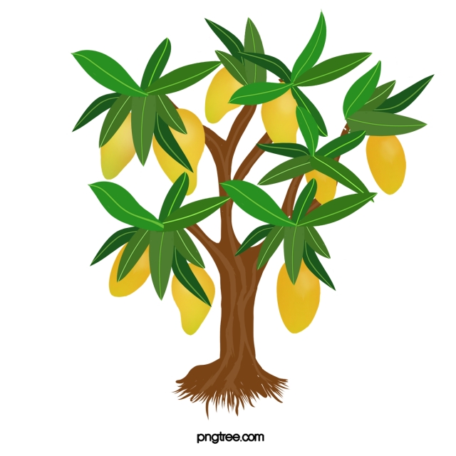 mango clipart tree