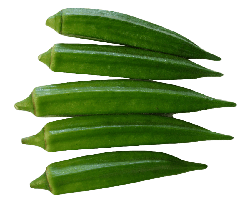 Green clipart okra. Png free images toppng