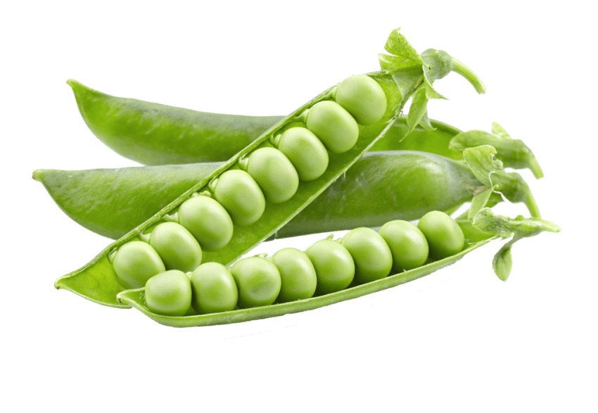 Peas clipart green pea. Png free images toppng