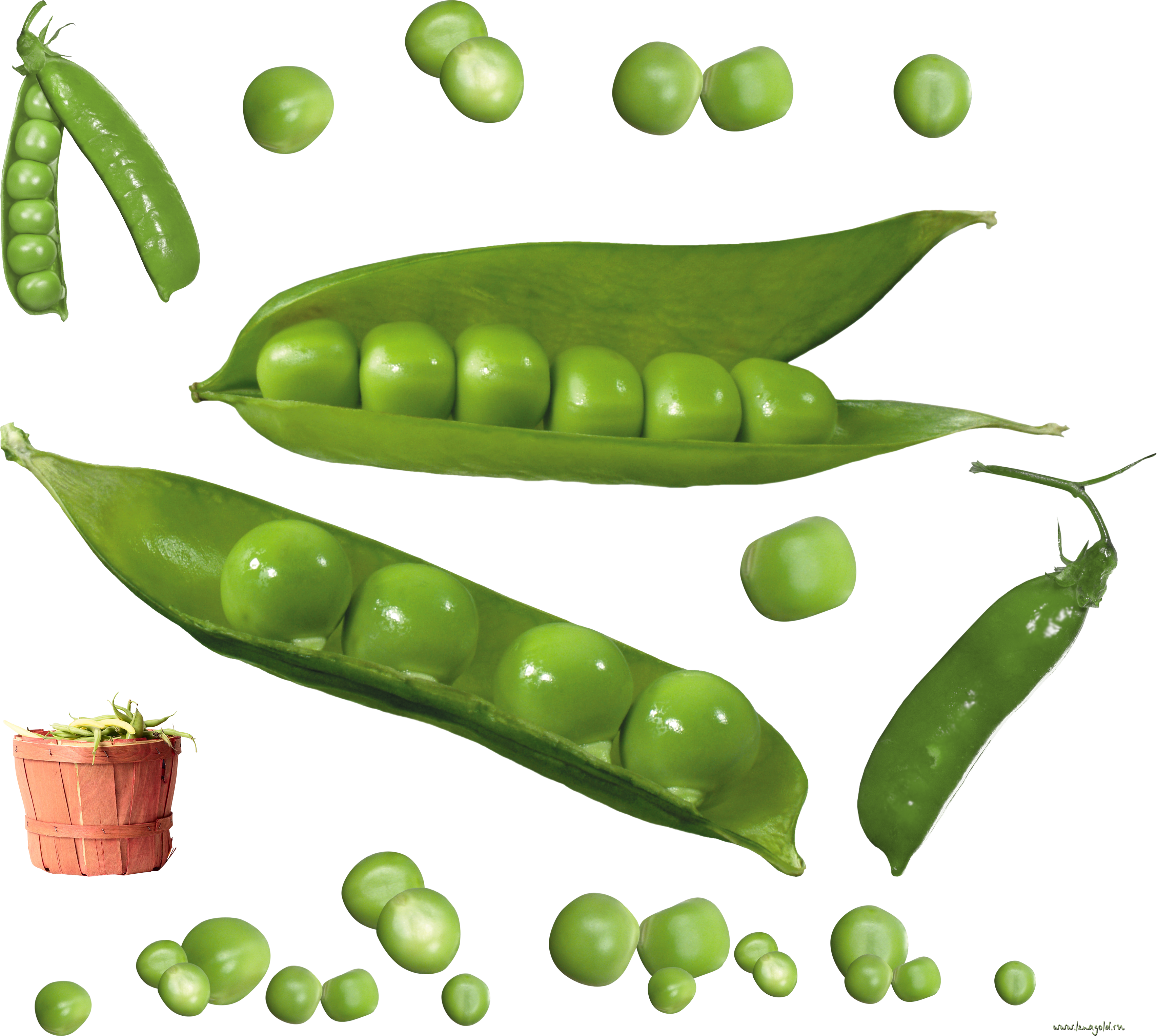 Peas clipart snap pea. Icon web icons png