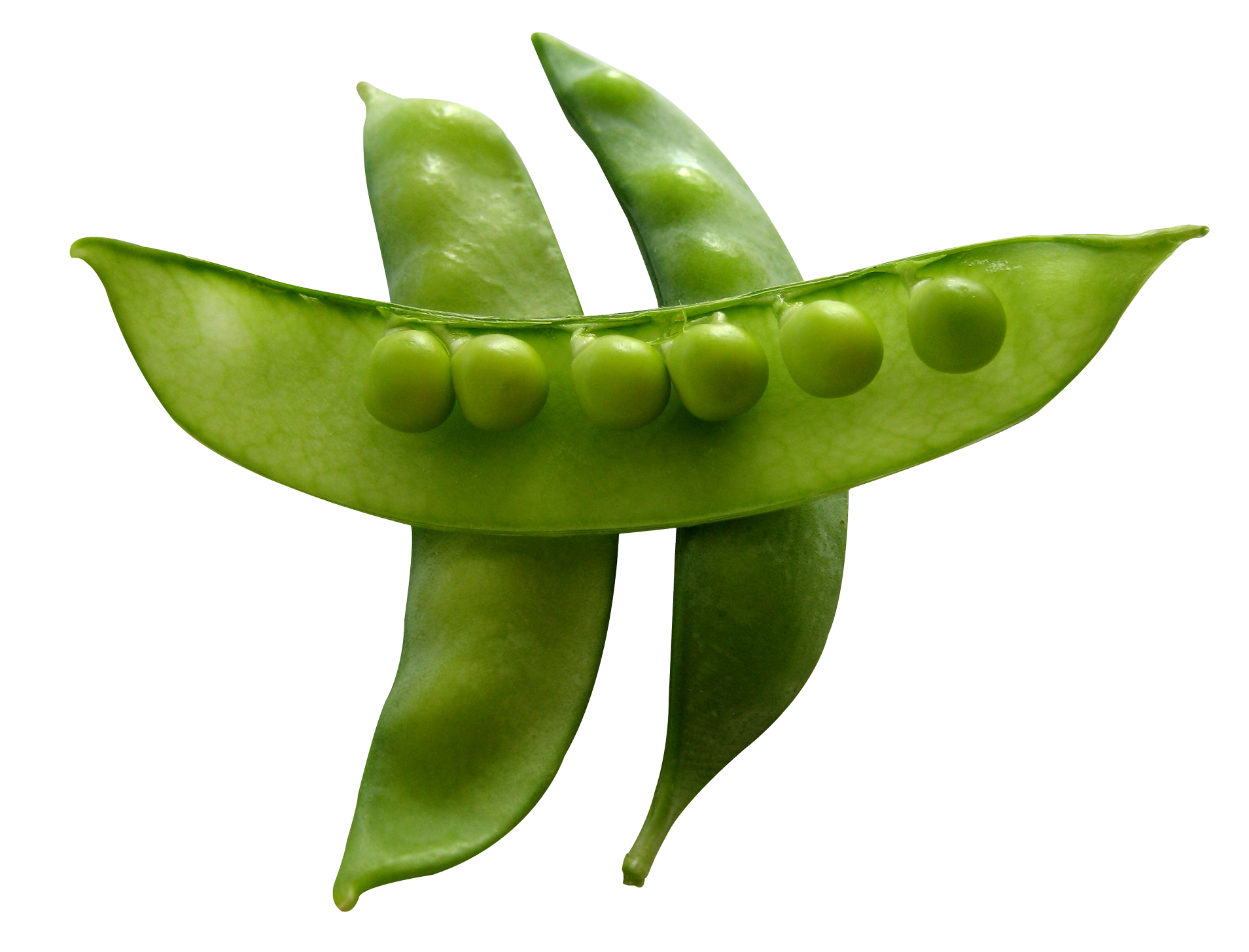 Pea png . Peas clipart winter