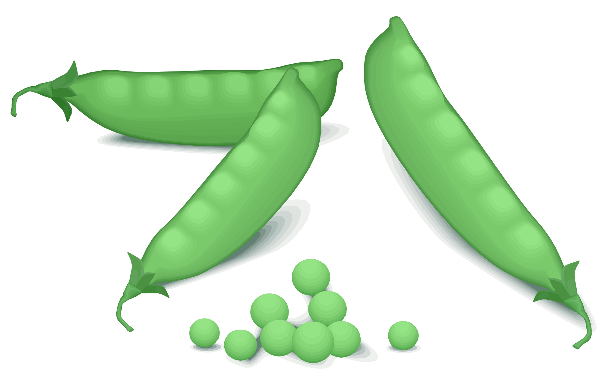 Peas clipart green pea. File svg wikimedia commons