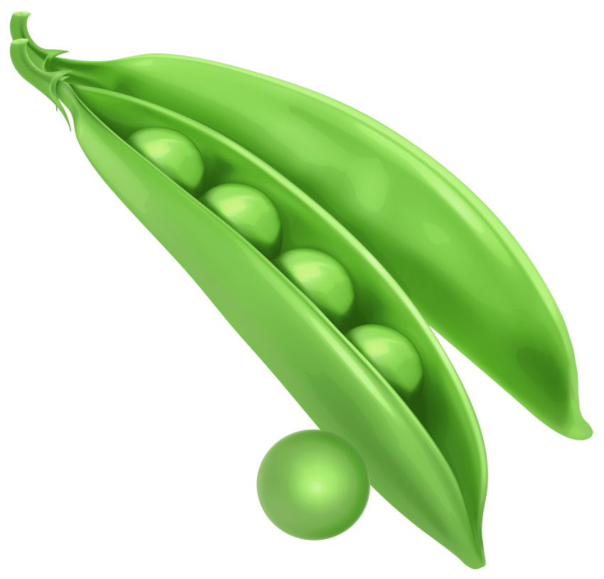 Peas clipart green object. Pea png free images
