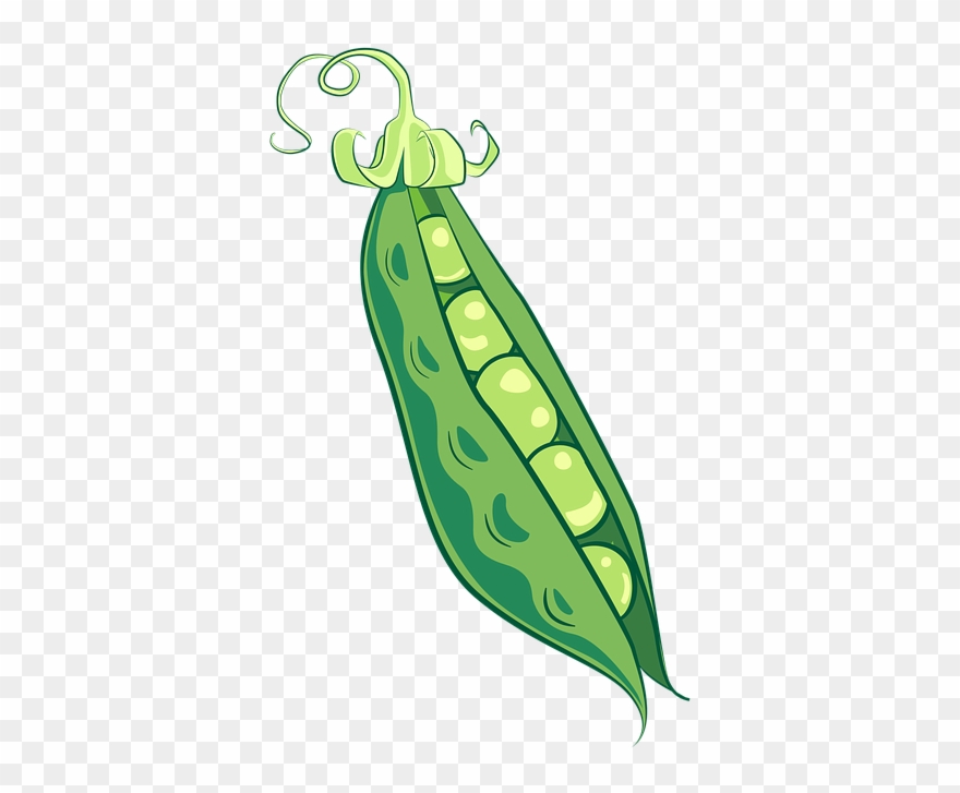 Peas clipart snap pea. Green pinclipart 
