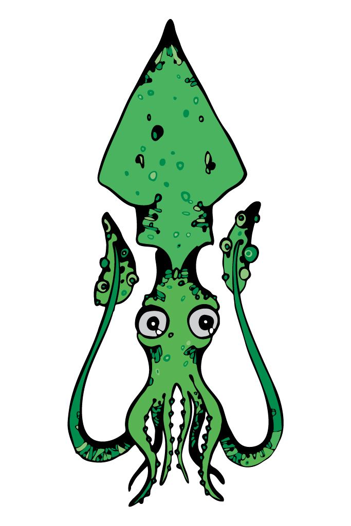 squid clipart green