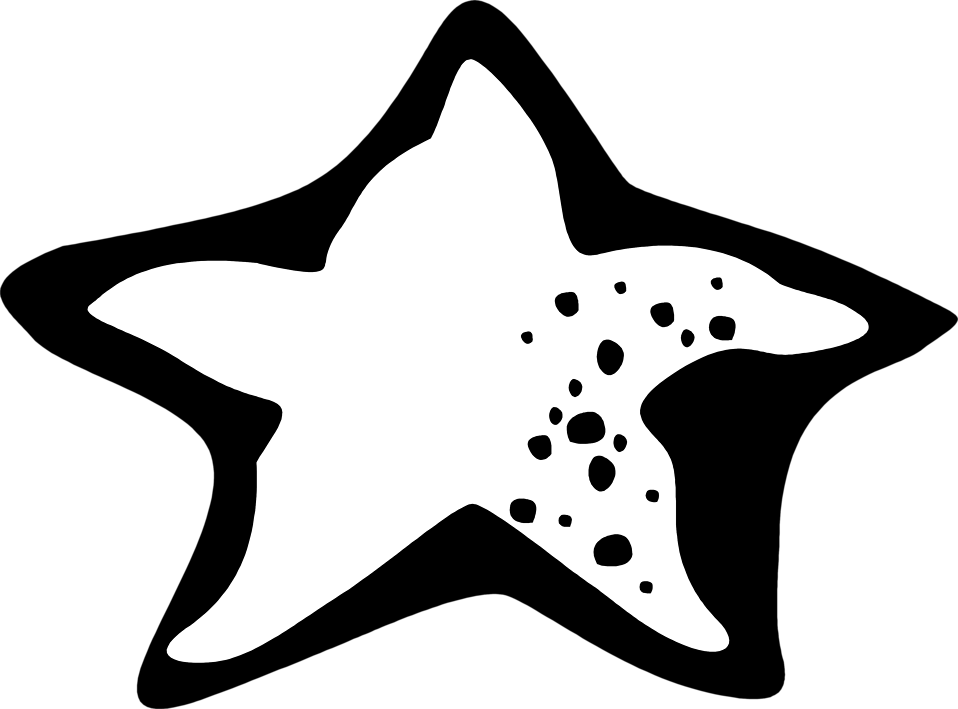 White clipart starfish. Free stock photo illustration