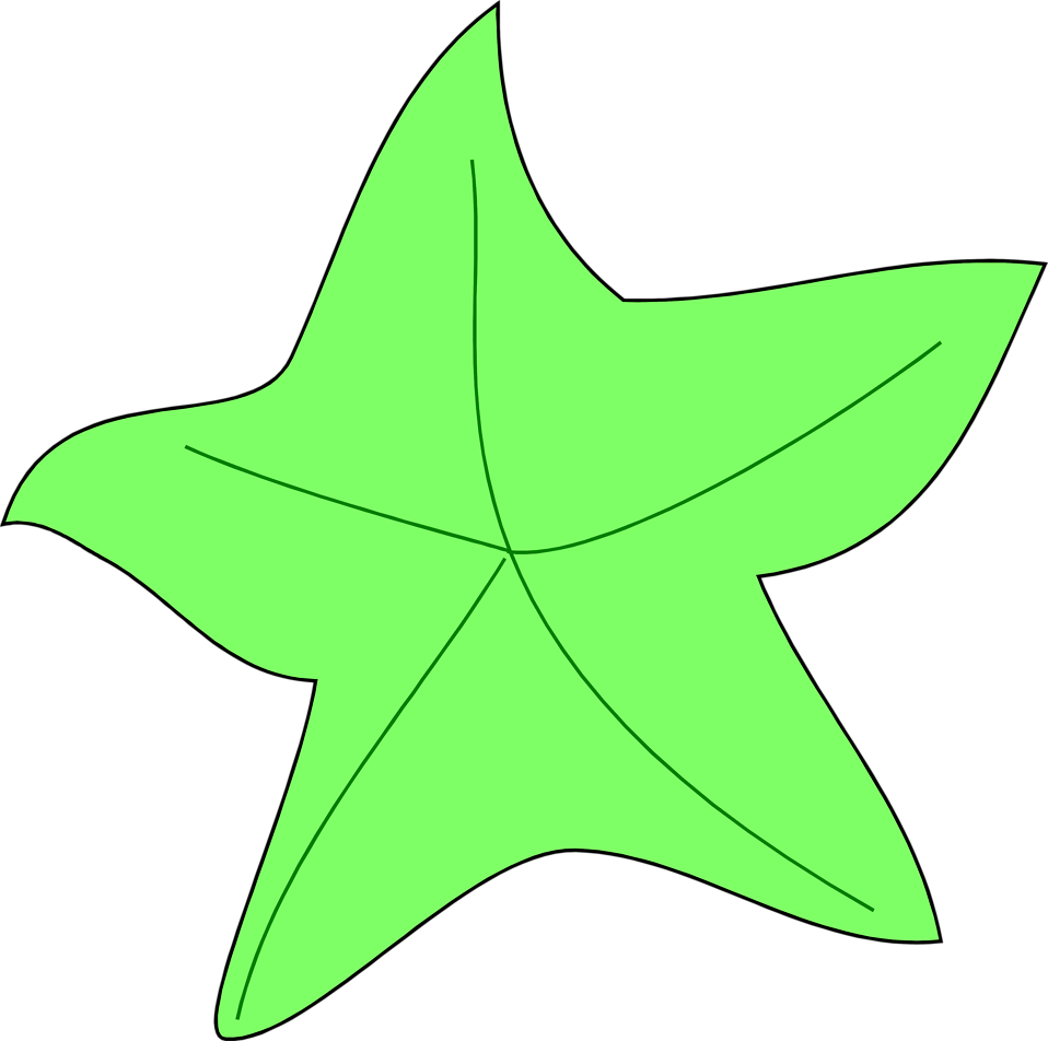 green clipart starfish